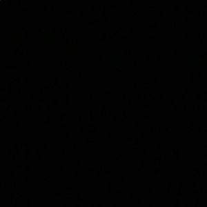 Meet your Posher, Bryce